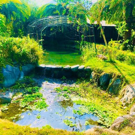 Ruisui Palm Lakes B&B Dış mekan fotoğraf